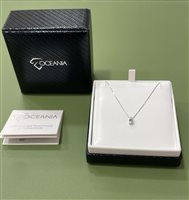 Collana Floriddia Gioielli Donna in Oro bianco Acquamarina 0.28 Ct 58106 COLLANA ACQUAMARINA E BRILLANTE - 58106 COLLANA ACQUAMARINA E BRILLANTE